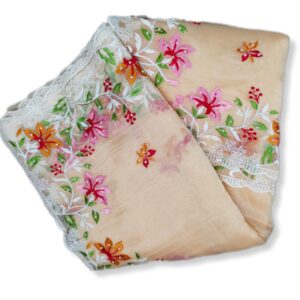 Orange Organza Saree with Pearl & Embroidery work