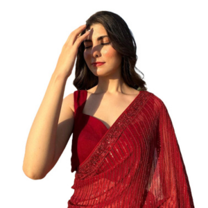 Bollywood Saree