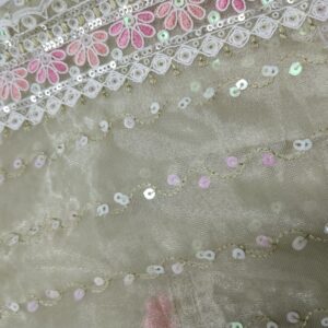 Light Green Handwork Concept Fancy Border Georgette Saree with Designer Blouse