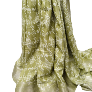 Misty Moss Dola Silk Saree