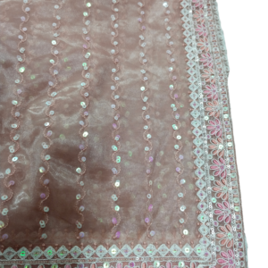 Peach Handwork Concept Fancy Border Georgette Saree with Designer Blouse