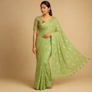 Light Green Chiffon Saree with Elegant Chikan Embroidered Blouse